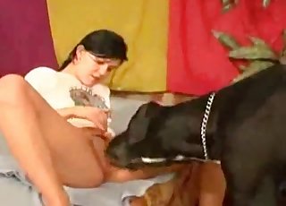 Blonde worships dog's cock here