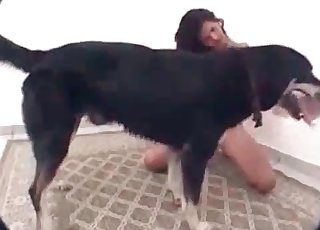 Stunning black dog fucked her wet cunt