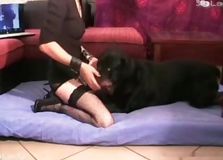 Black doggy is enjoying nasty bestiality